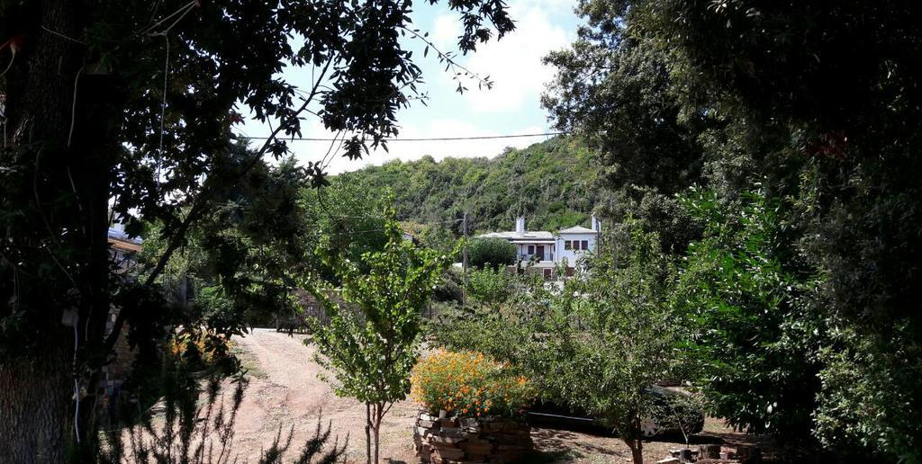 Apartments Spiros Pelion Kalamaki  Ngoại thất bức ảnh